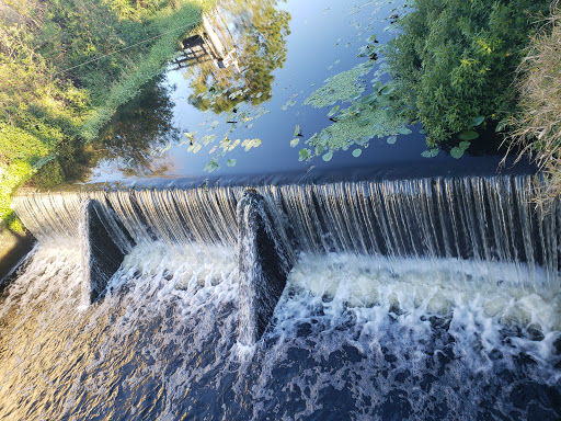 Park «Channel Park Pavillion, Upper Tampa Bay Trail», reviews and photos, 9201 W Waters Ave, Tampa, FL 33615, USA