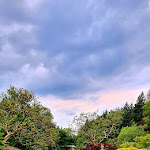 Photo n° 12 de l'avis de Virginie.o fait le 21/05/2023 à 17:36 pour Parc Oriental de Maulévrier à Maulevrier