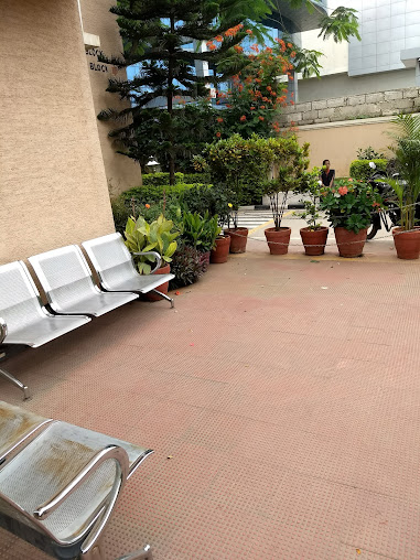 Google Maps image 30