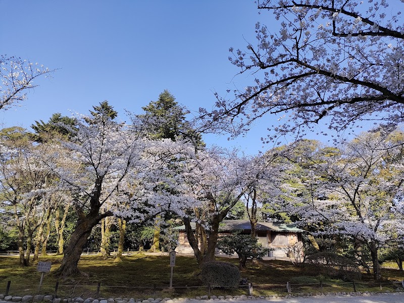 桜ヶ岡