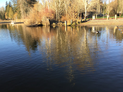 Park «Cottage Lake Park», reviews and photos, NE Woodinville Duvall Rd, Woodinville, WA 98072, USA