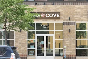 The Cove image
