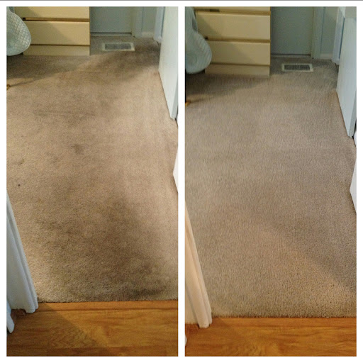Carpet Cleaning Service «Doll Bros. Carpet Dry Cleaning», reviews and photos, 14149 Hetrick Cir N, Largo, FL 33774, USA
