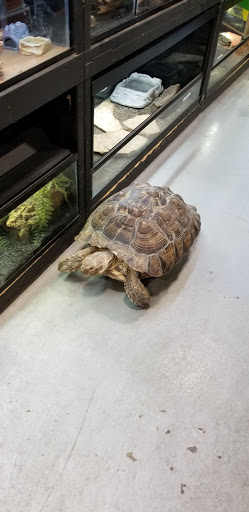 Pet Store «Parker Exotic Pets», reviews and photos, 17880 Cottonwood Dr, Parker, CO 80134, USA