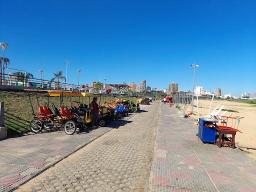 TURISTA ROGA - COSTANERA