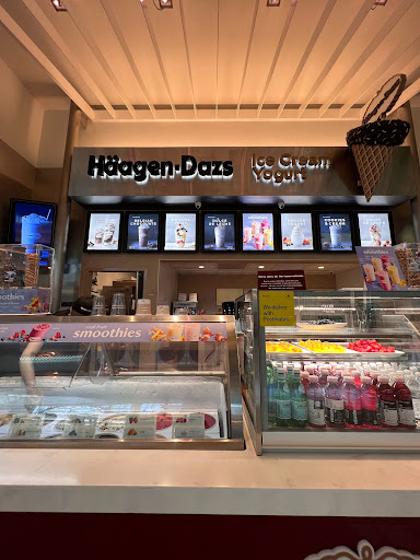 Ice Cream Shop «Haagen-Dazs», reviews and photos, 4200 Conroy Rd, Orlando, FL 32839, USA