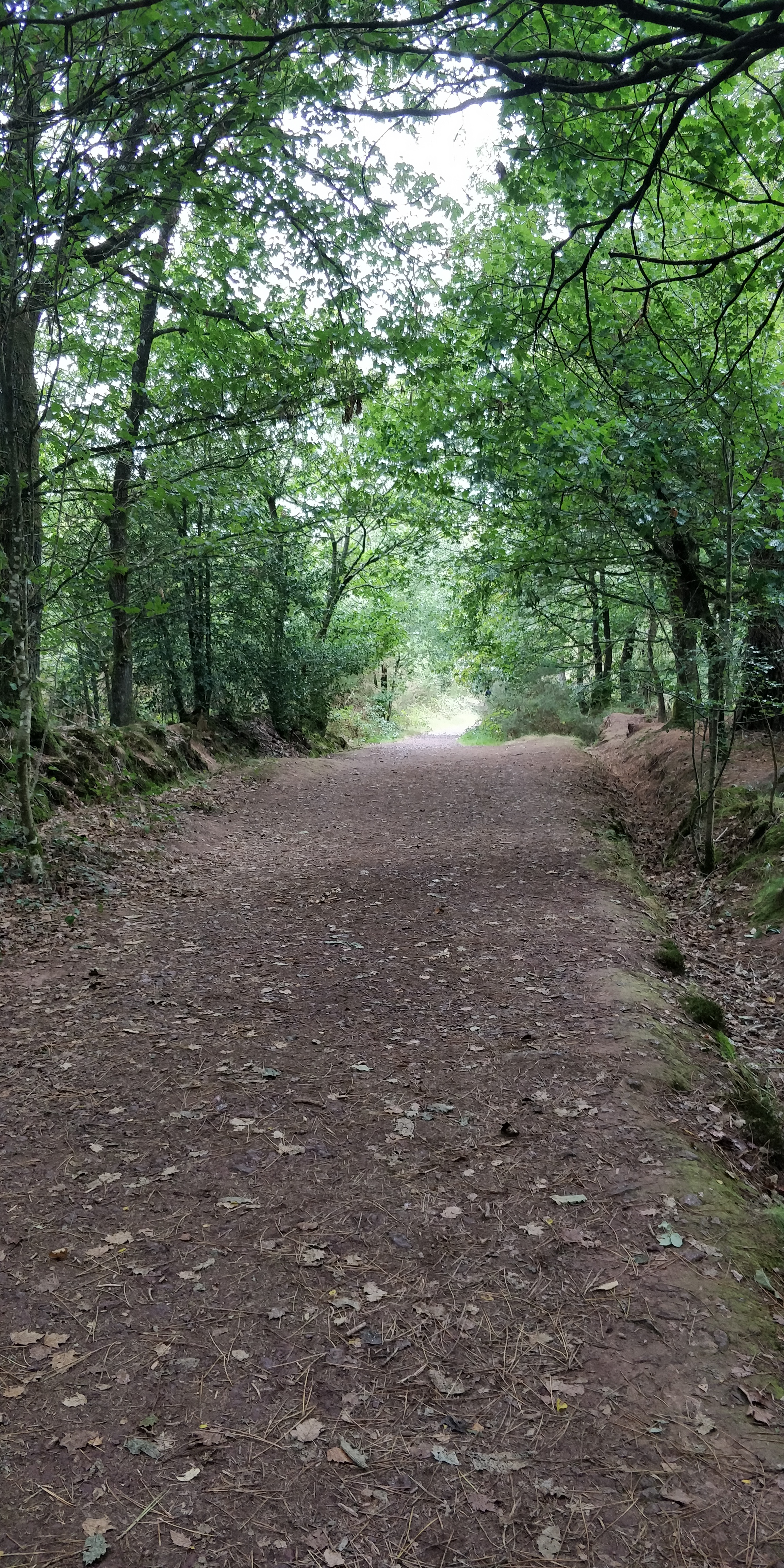 Photo n° 5 de l'avis de Alfred.e fait le 29/08/2020 à 16:03