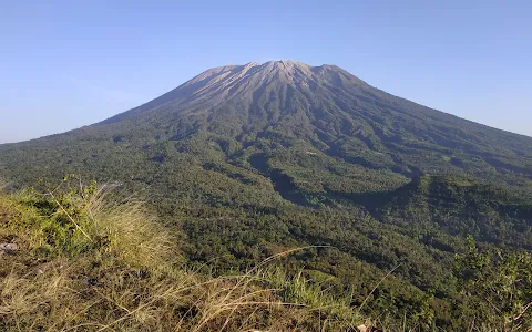 Bukit cemara image