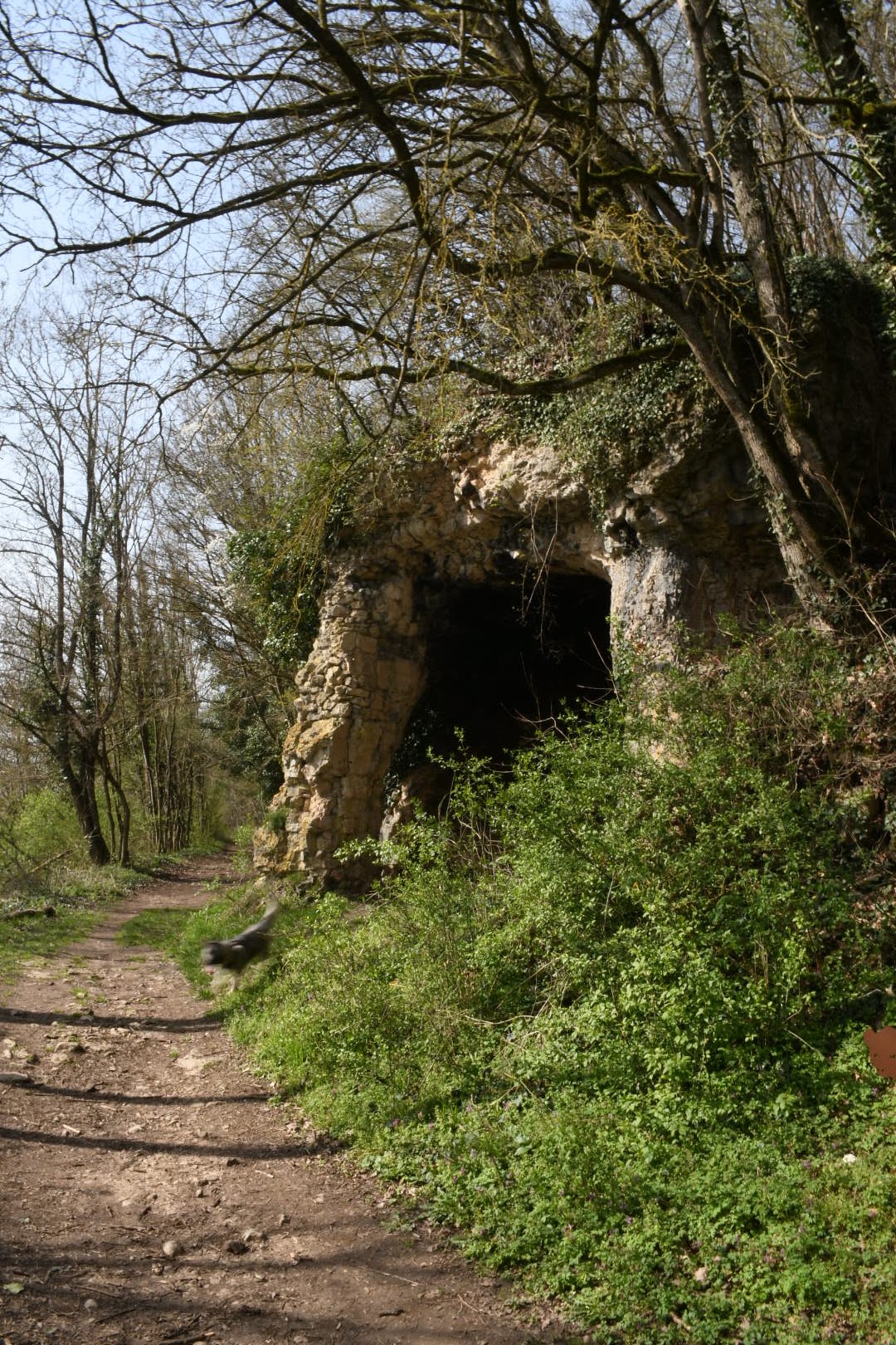 Photo n° 4 de l'avis de Phidis.a fait le 21/03/2024 à 20:19