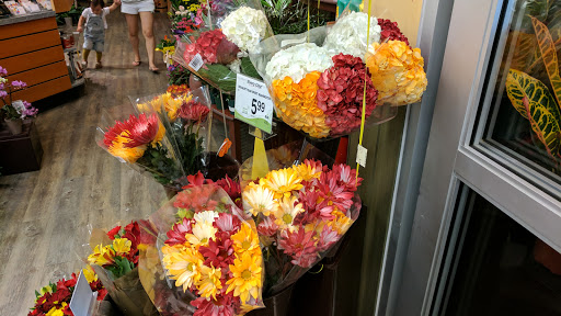 Grocery Store «Safeway», reviews and photos, 7414 Little River Turnpike, Annandale, VA 22003, USA