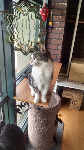 Pet Supply Store «Pet Supplies Plus», reviews and photos, 2057 S Telegraph Rd, Bloomfield Hills, MI 48302, USA