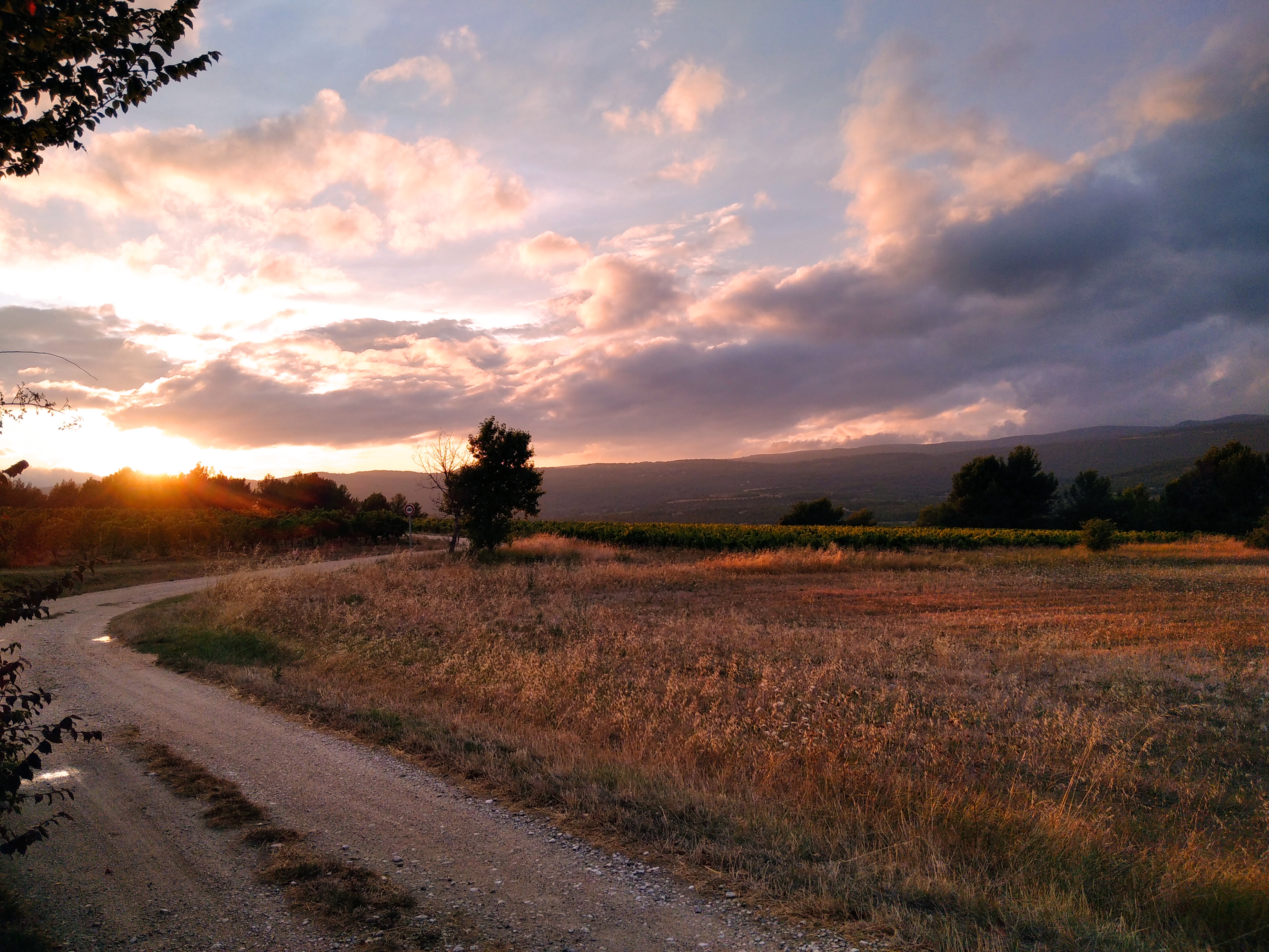 Photo n° 2 de l'avis de Solenne.o fait le 04/08/2021 à 18:59