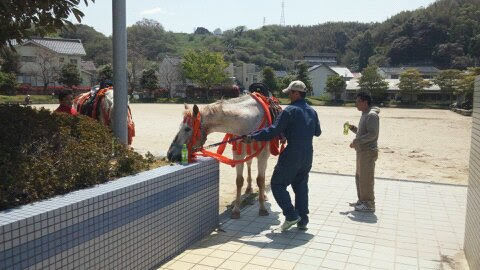 かもめ公園