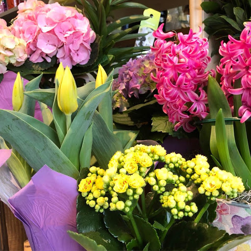 Florist «Chelsea Village Flowers», reviews and photos, 112 E Middle St, Chelsea, MI 48118, USA