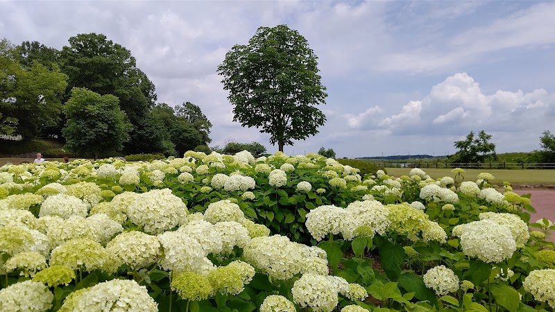 蔓巻公園