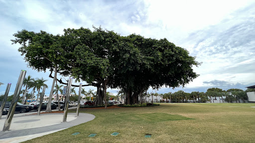 City Hall «City of Boynton Beach», reviews and photos