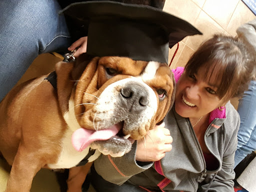 Pet Supply Store «PetSmart», reviews and photos, 187 Millburn Ave, Millburn, NJ 07041, USA