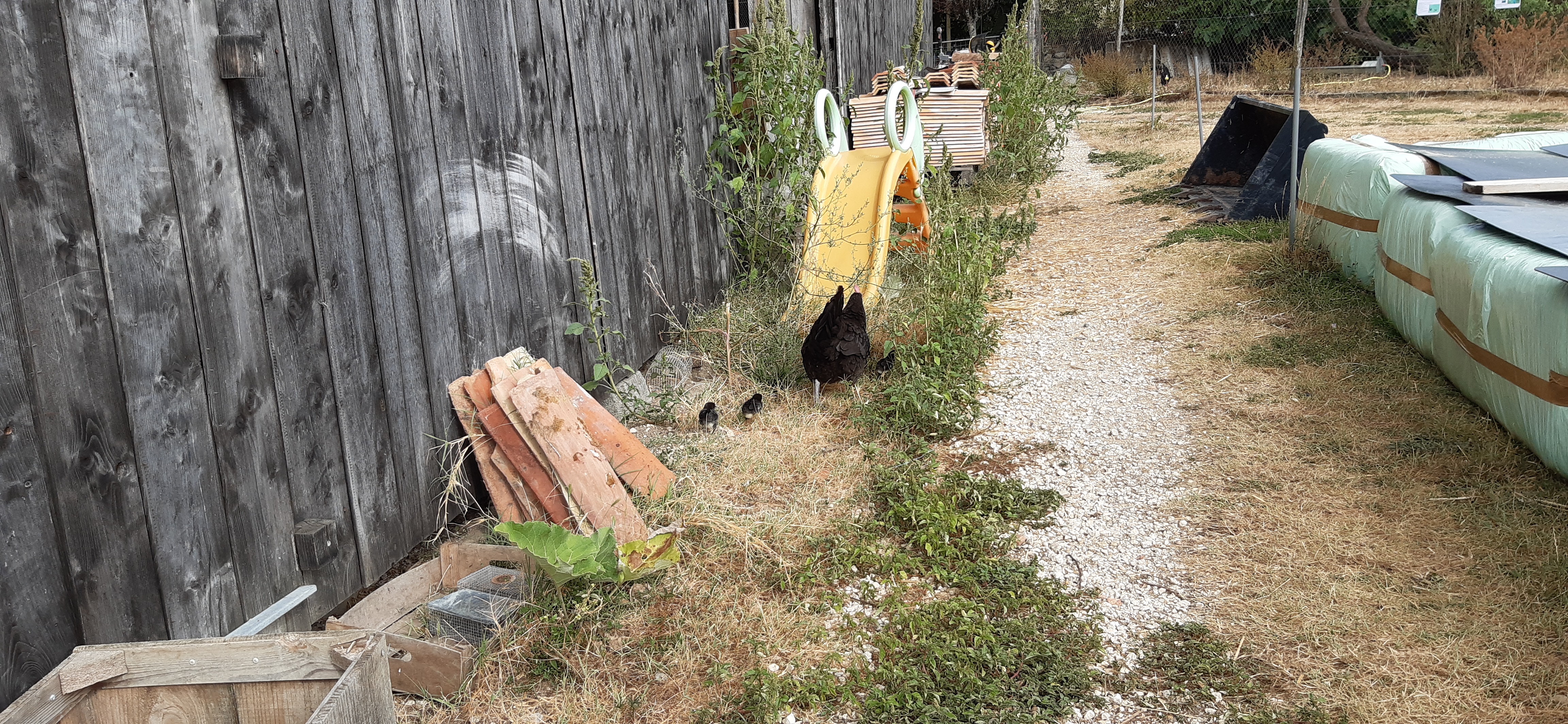 Photo n° 2 de l'avis de Dimitri.u fait le 13/08/2020 à 19:45