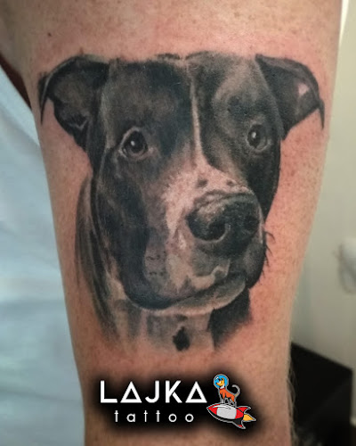 LAJKA tattoo - Tetovací studio