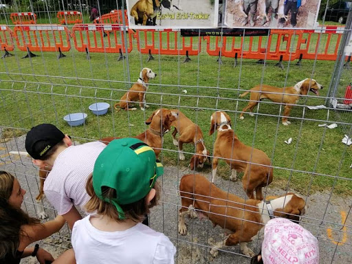 Clínica Veterinaria Autsiki en Amurrio