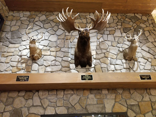 Outdoor Sports Store «Field & Stream», reviews and photos, 2075 Interchange Rd, Erie, PA 16509, USA