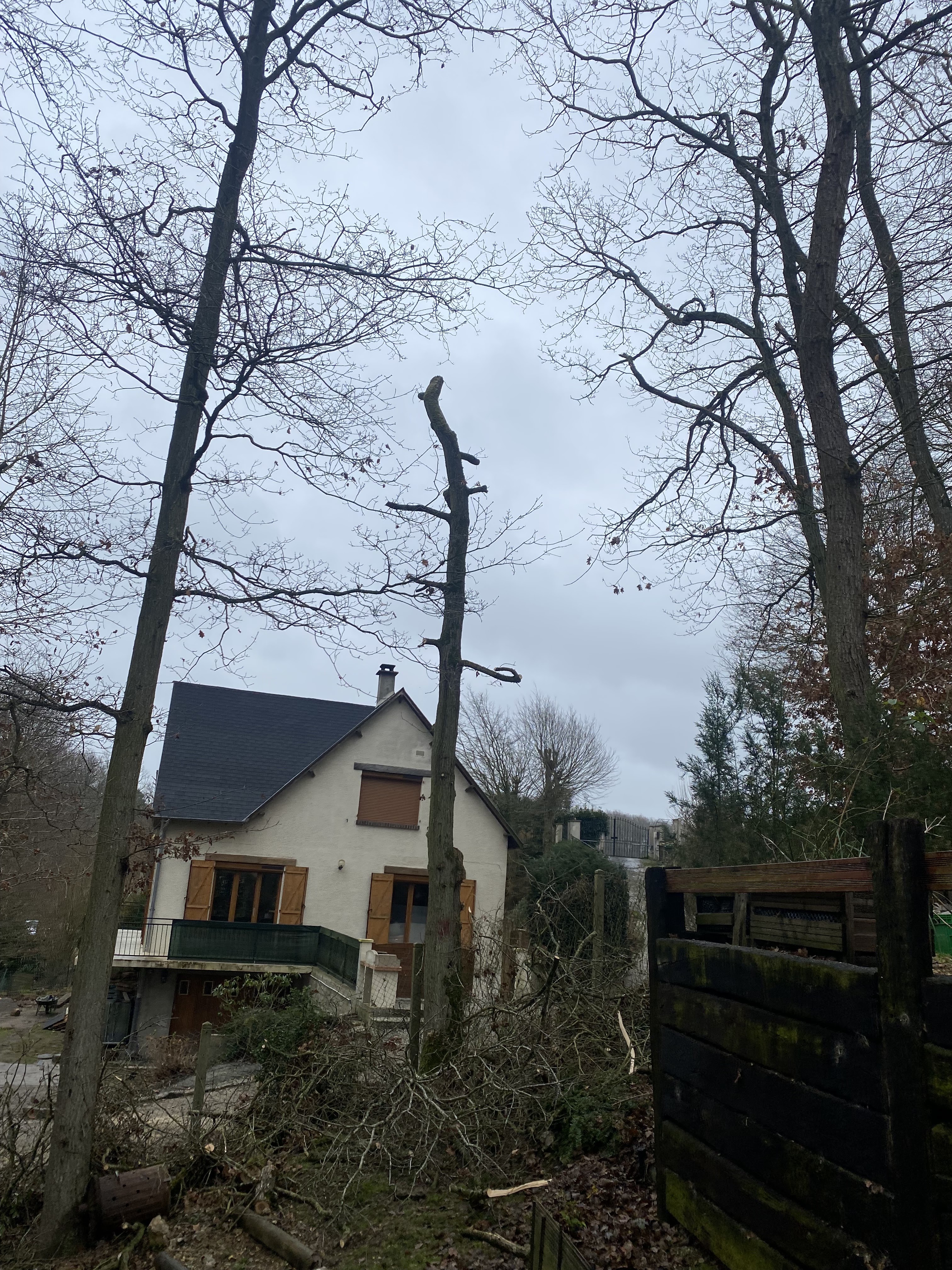 Photo n° 2 de l'avis de Cristina.a fait le 09/02/2024 à 17:40