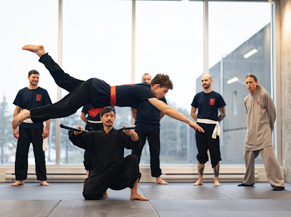 Instinct Martial School Kung Fu