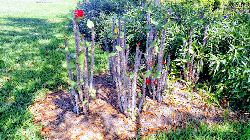 Golf Club «Stoneybrook Golf Club», reviews and photos, 21251 Stoneybrook Golf Blvd, Estero, FL 33928, USA