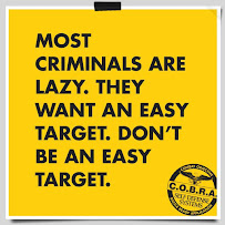 COBRA Self Defense Lexington KY - Photo 5 - Car repair in Lexington, KY, Lexington