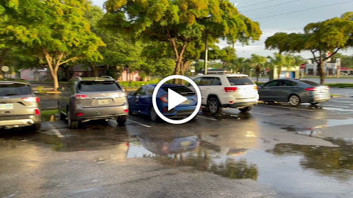 Explore dr seuss tattoo ideas, creative tattoo ideas in Port Charlotte, available at Envision Laser Removal