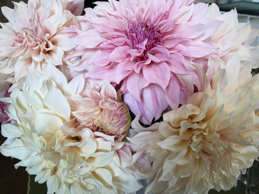 Florist «Jephry Flower Studio», reviews and photos, 432 Broadway, Providence, RI 02909, USA