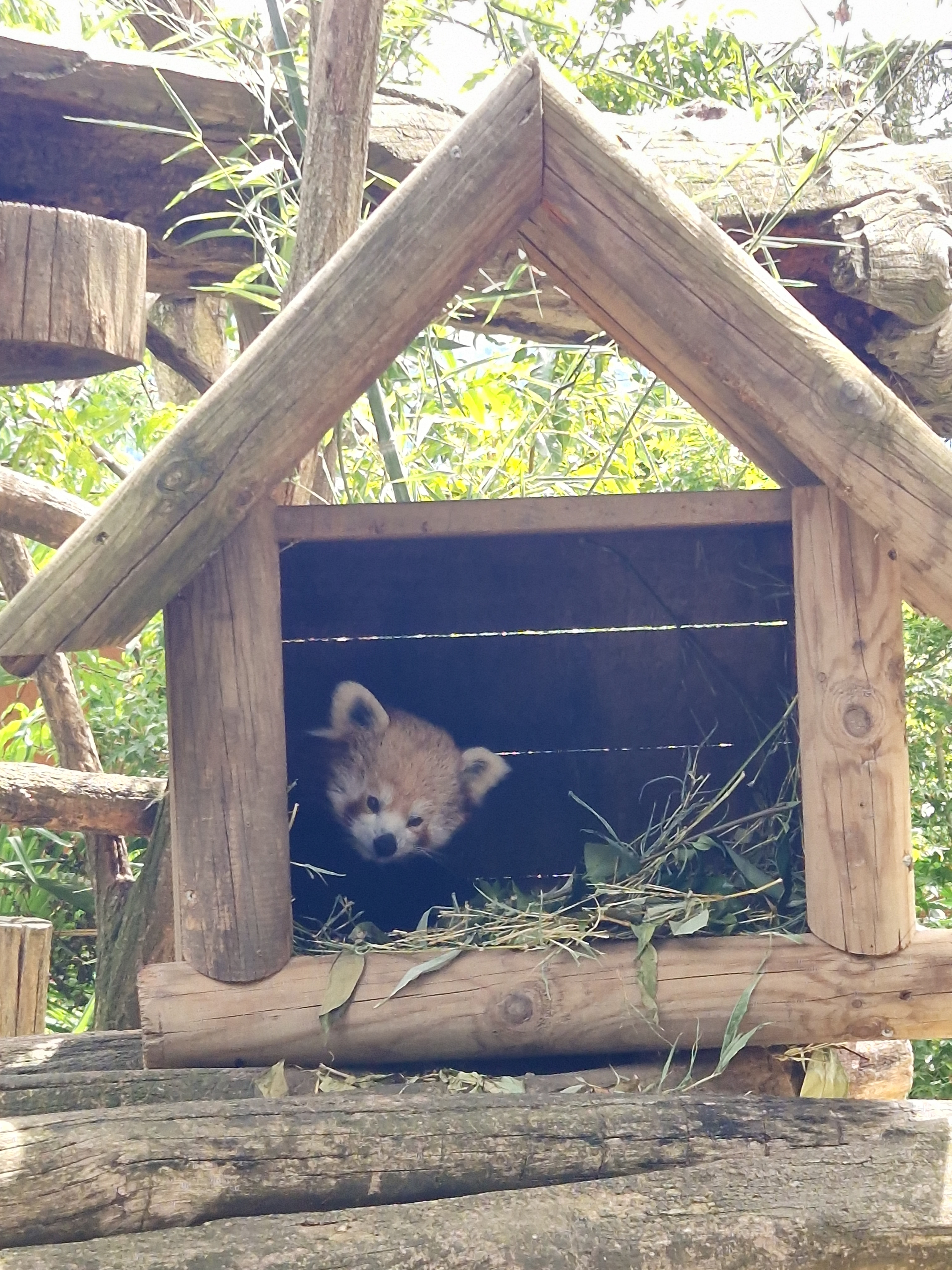 Photo n° 3 de l'avis de Aline.u fait le 27/08/2023 à 11:28