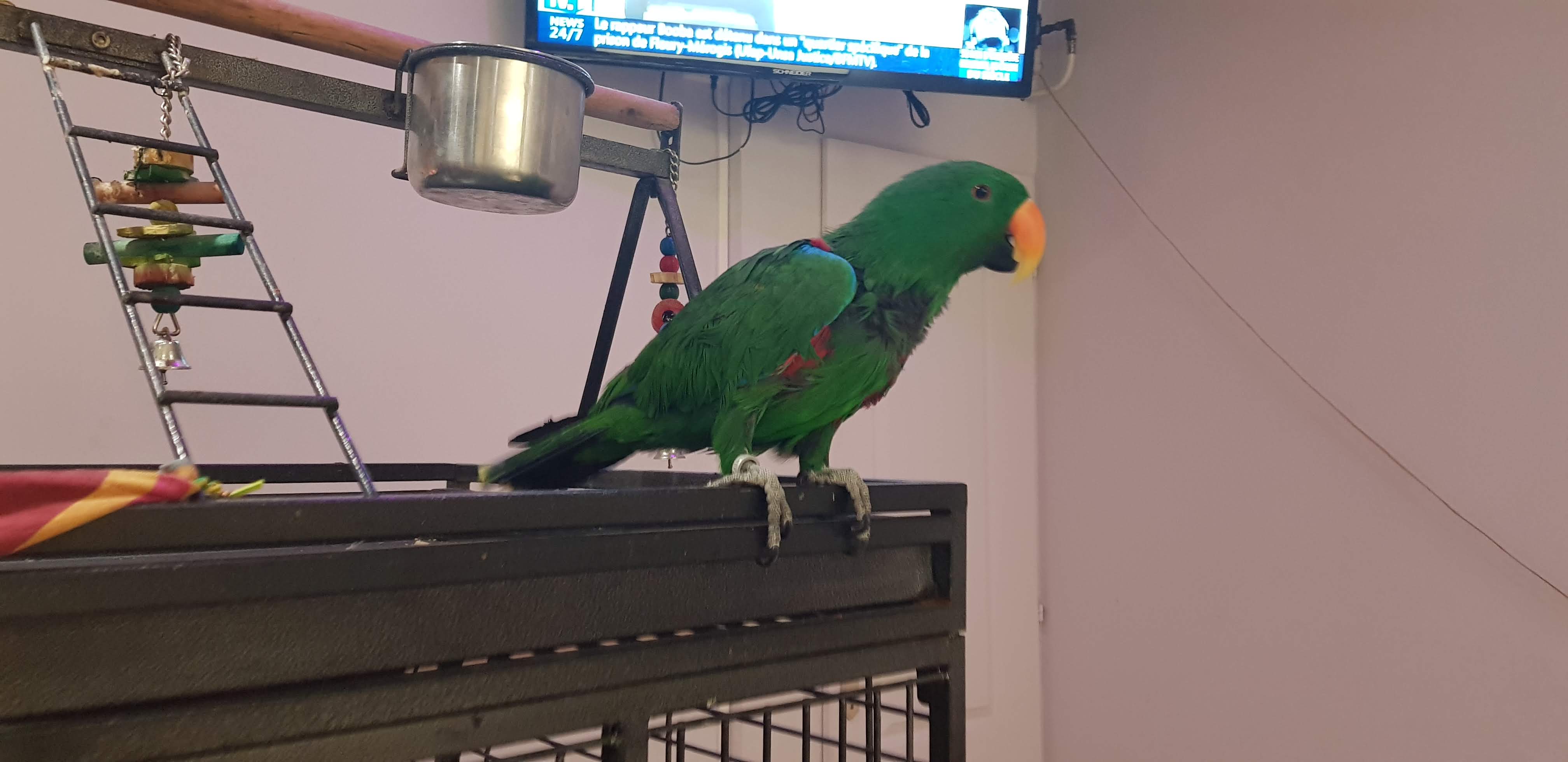 Photo n° 1 de l'avis de Sarwar.h fait le 04/08/2018 à 21:23