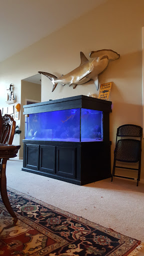 Pet Store «Sho Tank Aquariums», reviews and photos, 433 N Lake St, Mundelein, IL 60060, USA