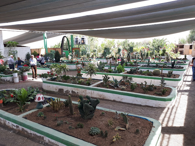 Opiniones de Jardin Botanico CASAVERDE en Tacna - Centro de jardinería