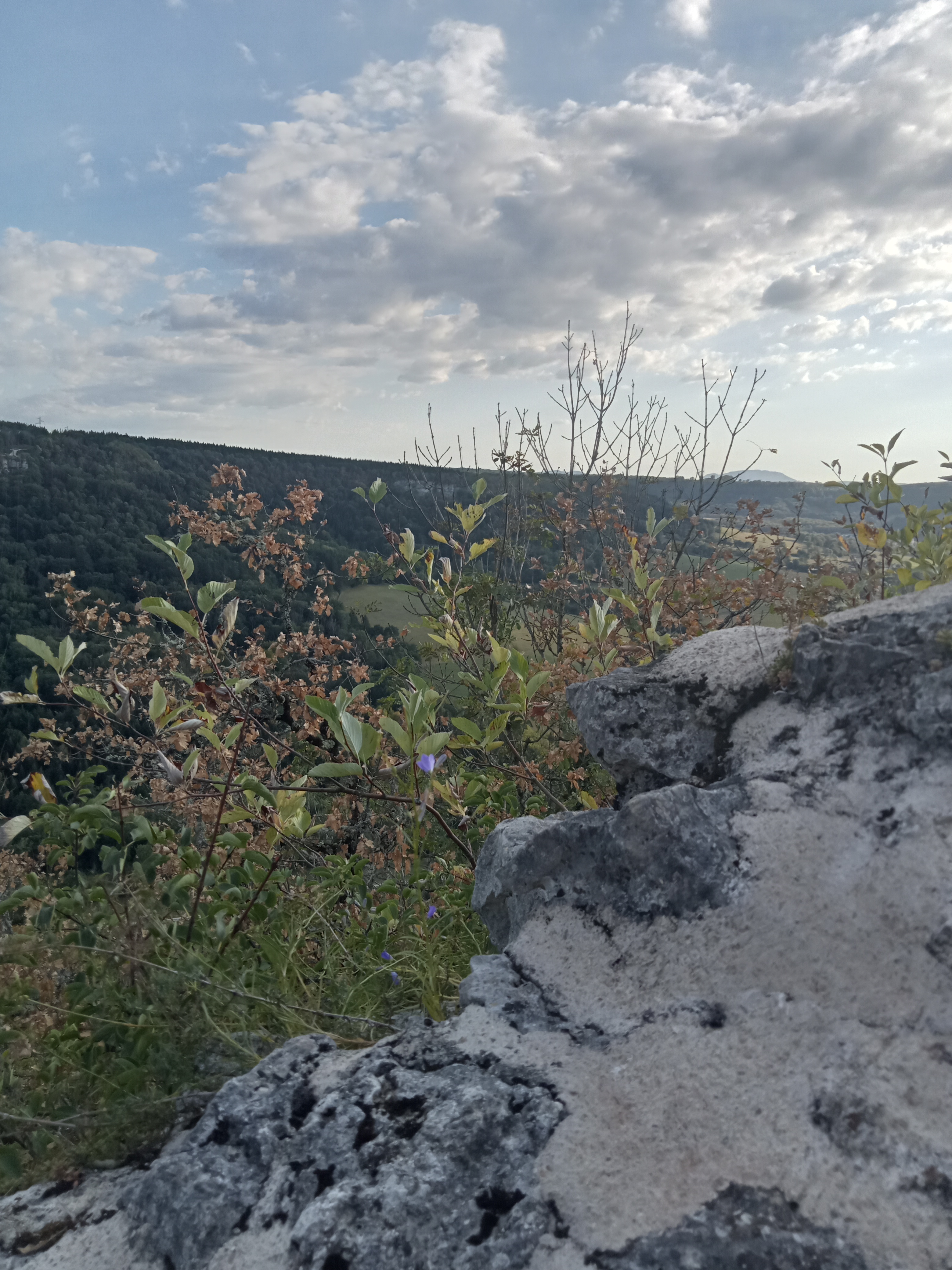 Photo n° 10 de l'avis de sebastien.e fait le 22/08/2022 à 21:14