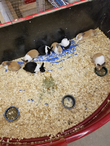 Department Store «Rural King», reviews and photos, 1416 Hamilton Richmond Rd, Hamilton, OH 45013, USA