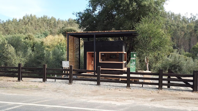 Opiniones de Puertas de Guarilihue en Coelemu - Tienda de ventanas