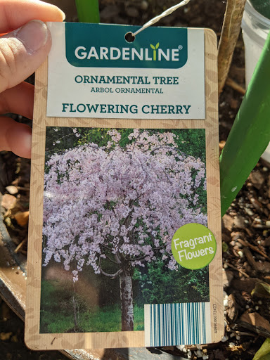 Supermarket «ALDI», reviews and photos, 1549 E Belt Line Rd, Richardson, TX 75081, USA