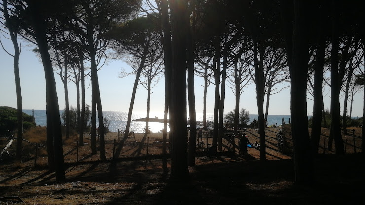 Photos des visiteurs hôtels La Cecinella 57023 Cecina