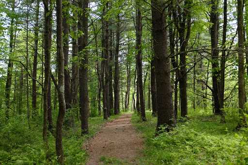 Historical Place «Saratoga National Historical Park», reviews and photos, 648 NY-32, Stillwater, NY 12170, USA