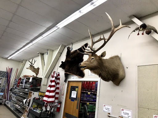 Hardware Store «Oilwell Materials/Hardware Co», reviews and photos, 506 CA-12, Rio Vista, CA 94571, USA