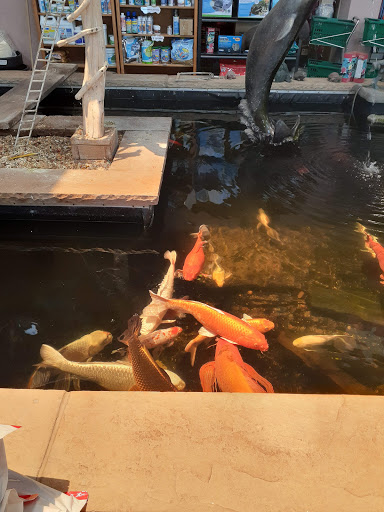 Pet Store «Pet Paradise Grooming», reviews and photos, 1115 Pueblo Blvd Way, Pueblo, CO 81005, USA