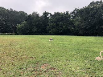 Eagle Stadium Dog Park