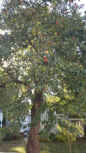 Golf Club «Causeway Club», reviews and photos, 10 Fernald Point Rd, Southwest Harbor, ME 04679, USA