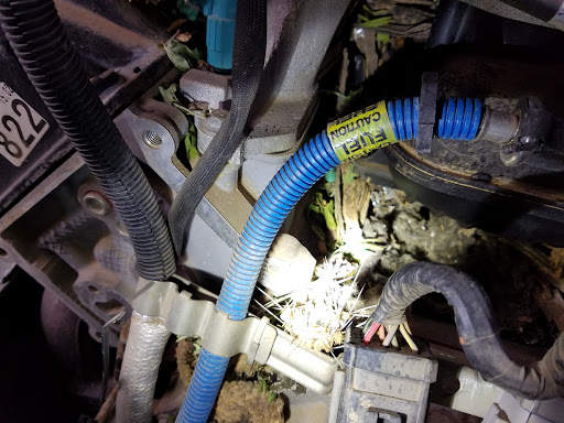 Auto Repair Shop «Blackwell Automotive», reviews and photos, 15440 N 40th St, Phoenix, AZ 85032, USA