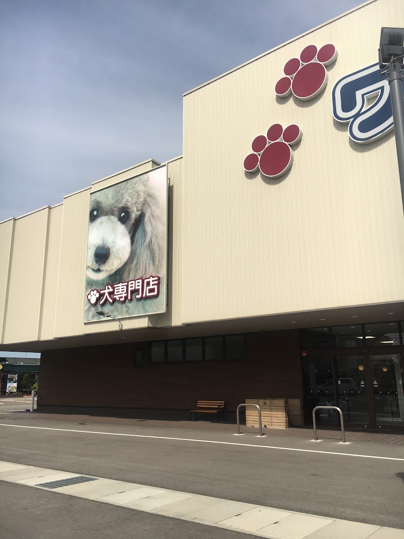 ワンbox本店 石川県小松市平面町カ ペットショップ ペット グルコミ