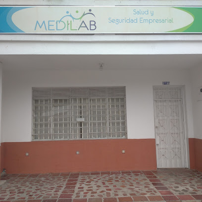 IPS MEDILAB SAS