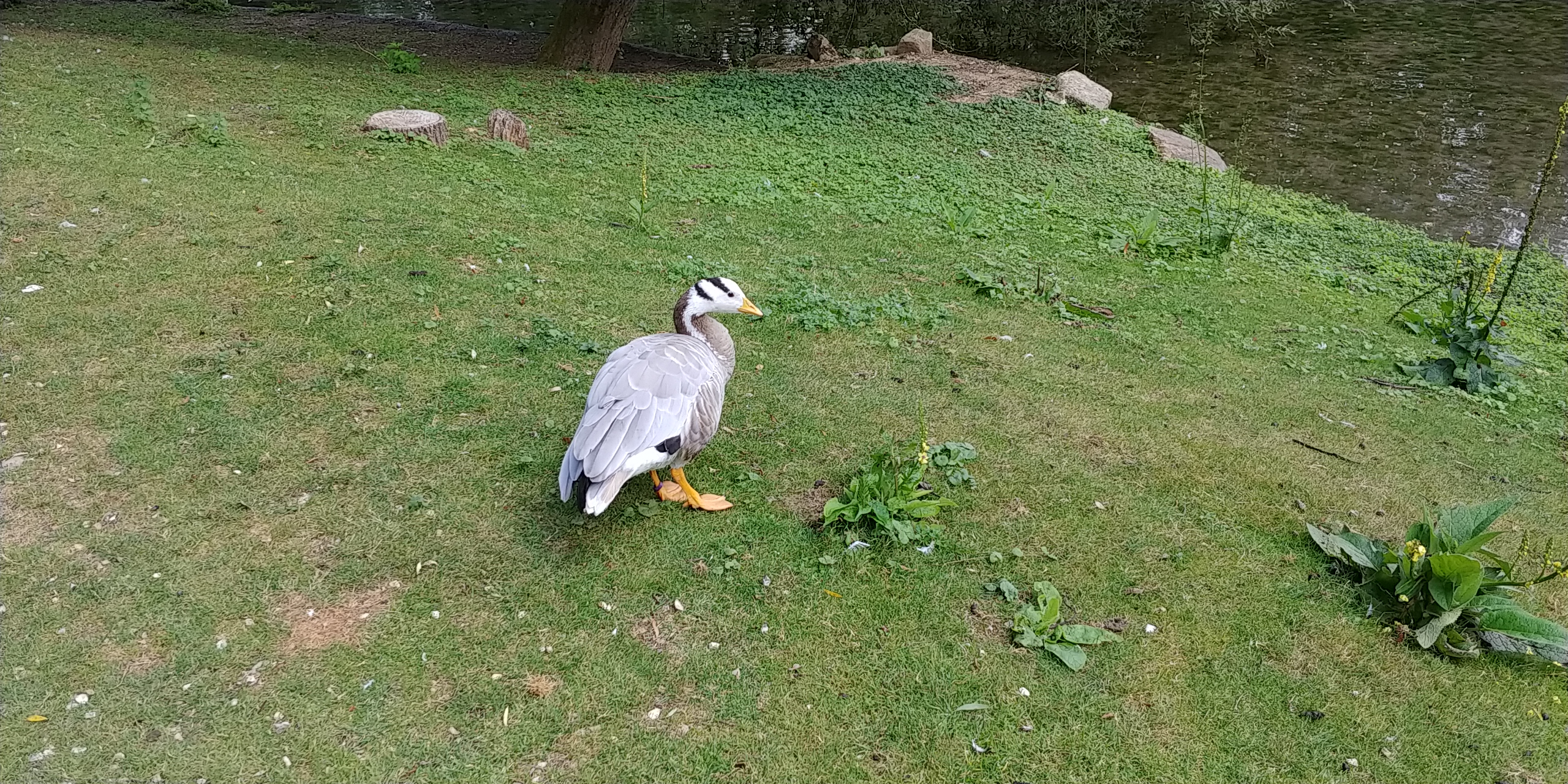 Photo n° 4 de l'avis de Pierre.u fait le 03/08/2020 à 21:38