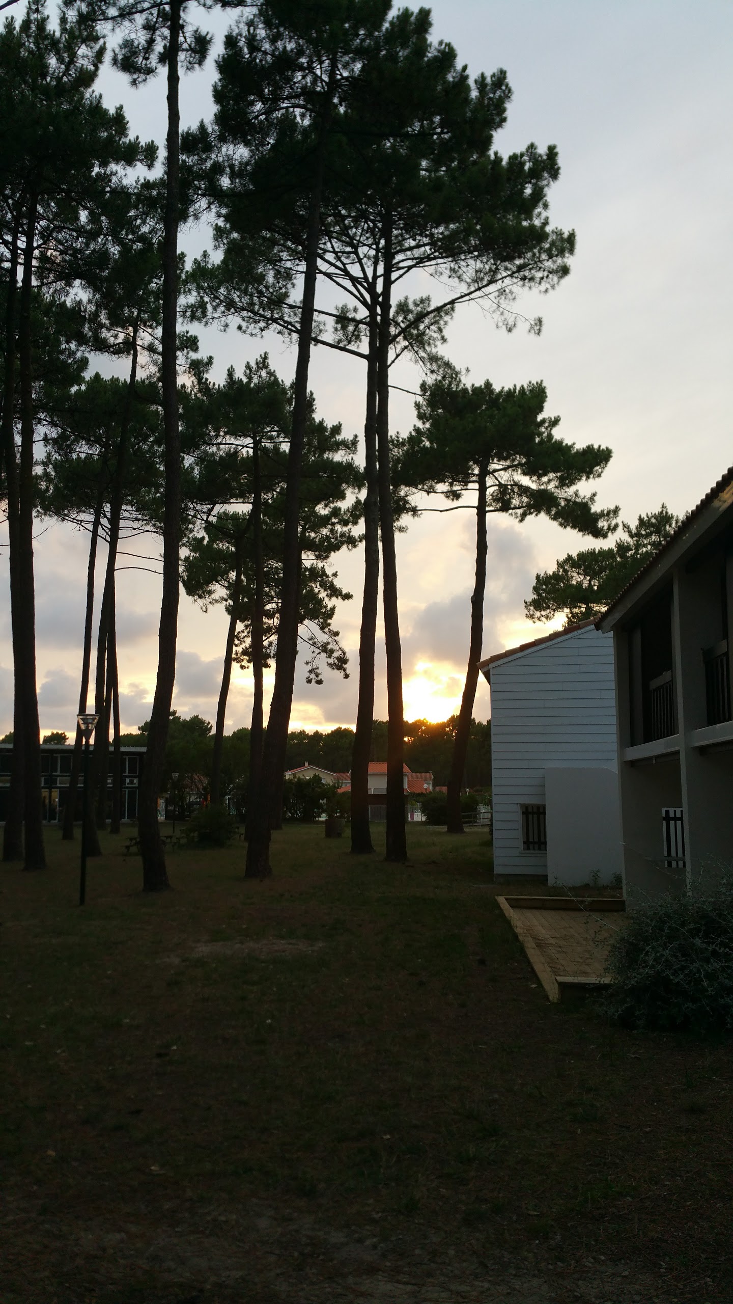 Photo n° 3 de l'avis de N.b fait le 25/07/2017 à 11:19